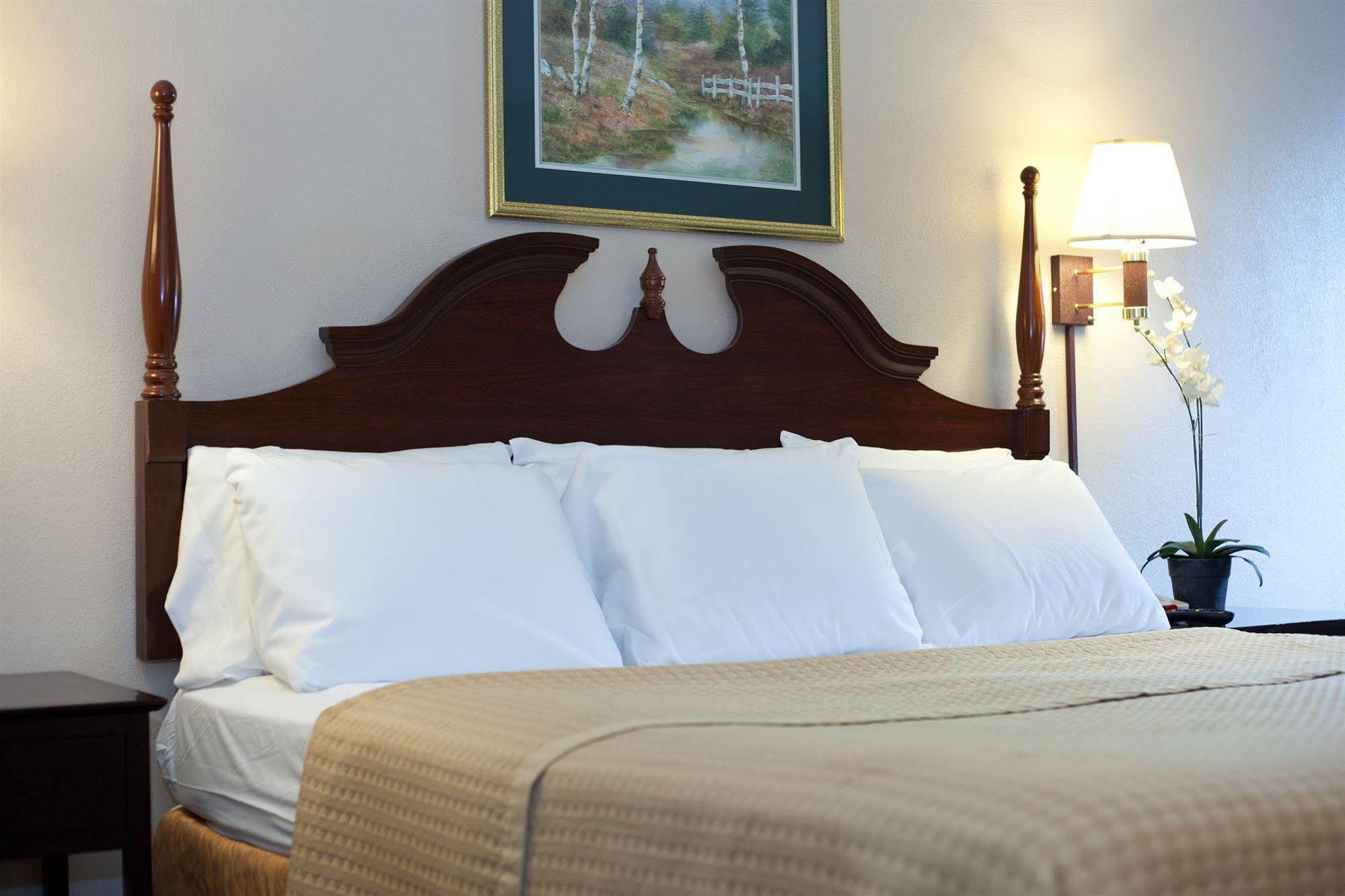 Timberlake Motel Лінчбурґ Екстер'єр фото